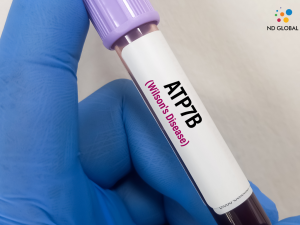 Read more about the article Orphan Drugs and Rare Disease Regulations: An Overview